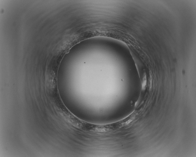 X0000067480464200604071143