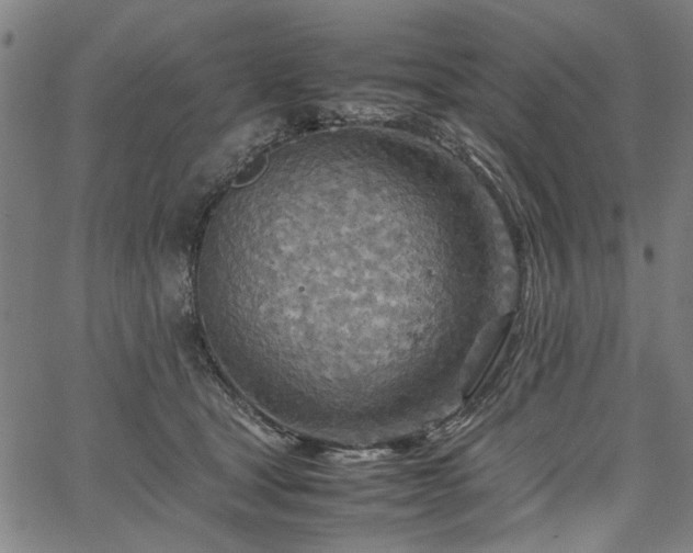 X0000067480465200604071143