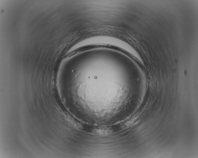 X0000067480466200604071143