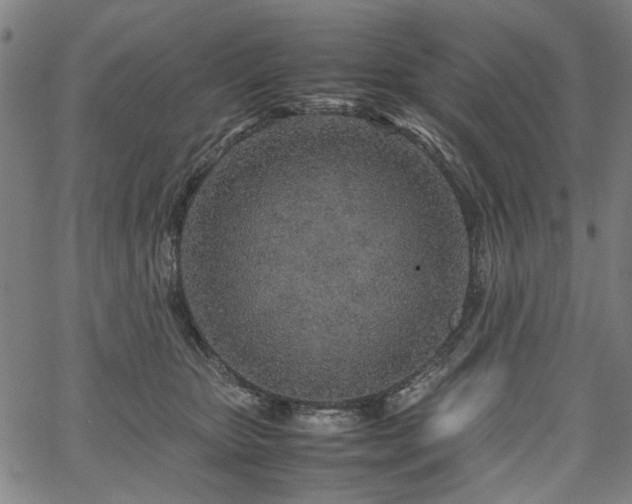 X0000067480467200604071143