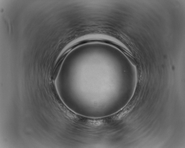 X0000067480469200604071143