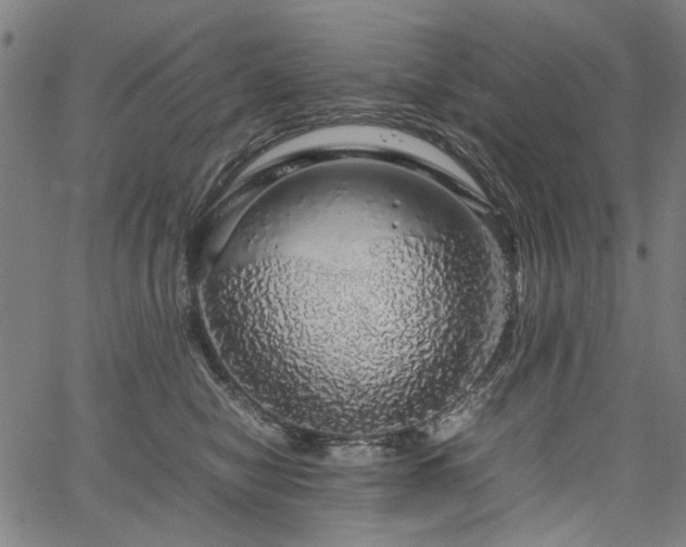 X0000067480470200604071143