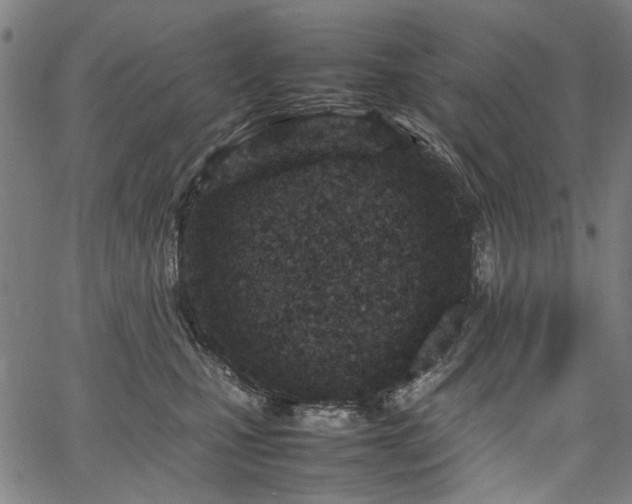 X0000067480471200604071143