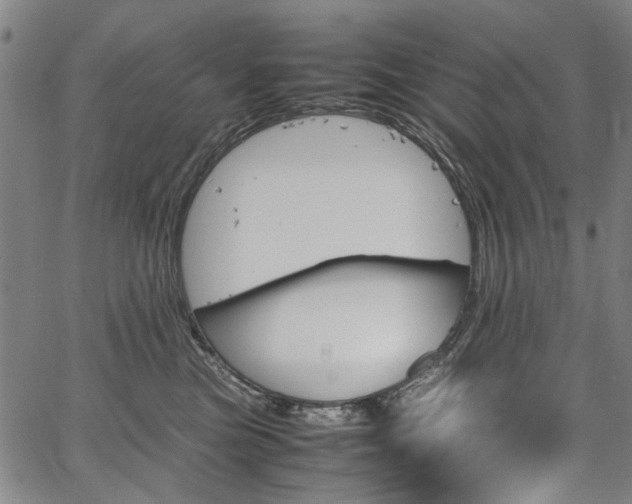 X0000067480473200604071143