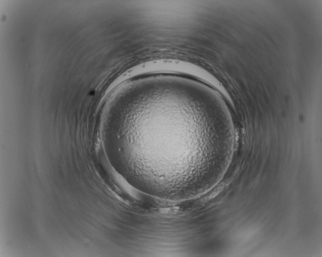 X0000067480474200604071143