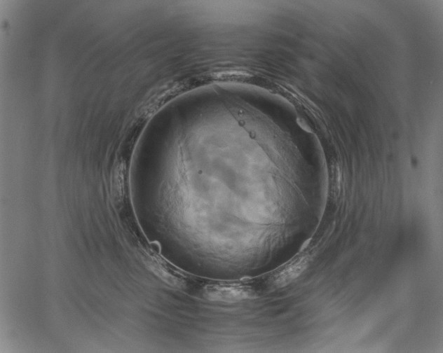 X0000067480475200604071143