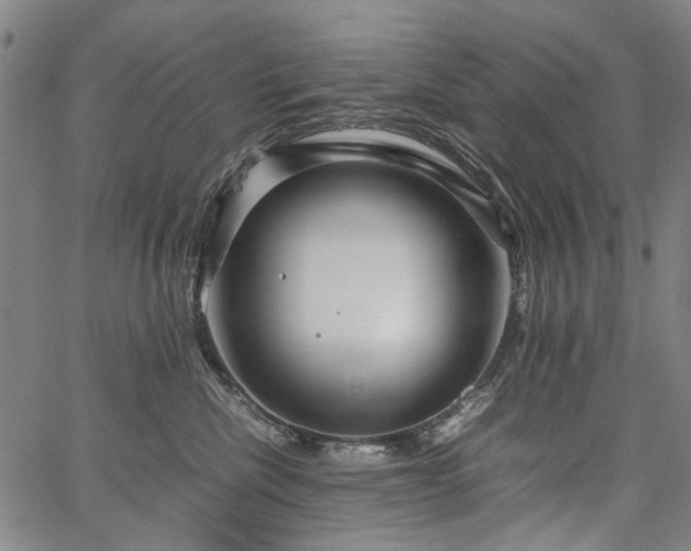 X0000067480476200604071143