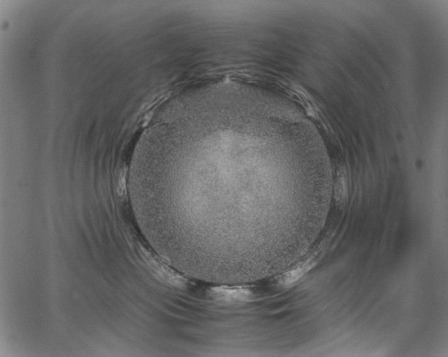 X0000067480477200604071143