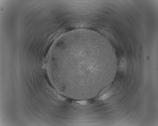 X0000067480478200604071143