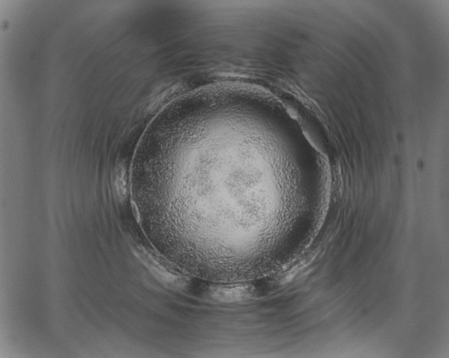 X0000067480479200604071143