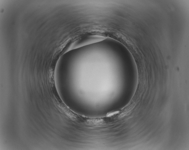 X0000067480480200604071143