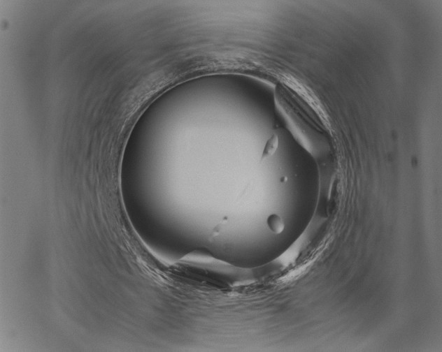 X0000067480481200604071143