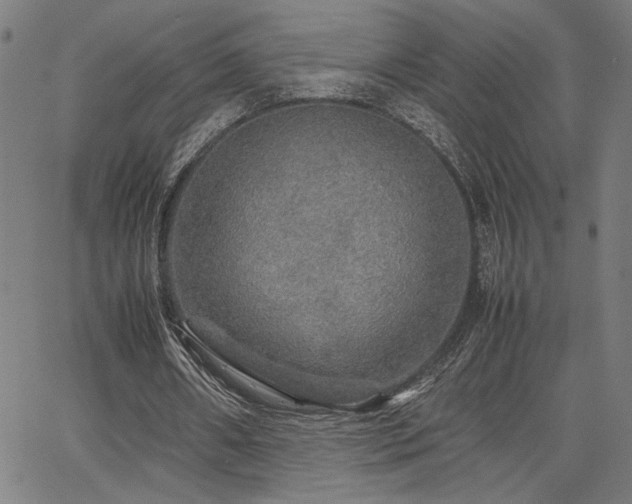 X0000067480482200604071143