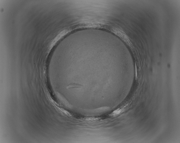 X0000067480483200604071143