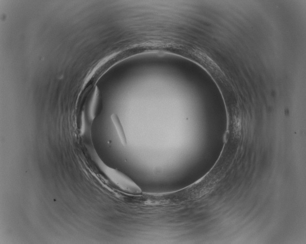 X0000067480484200604071143