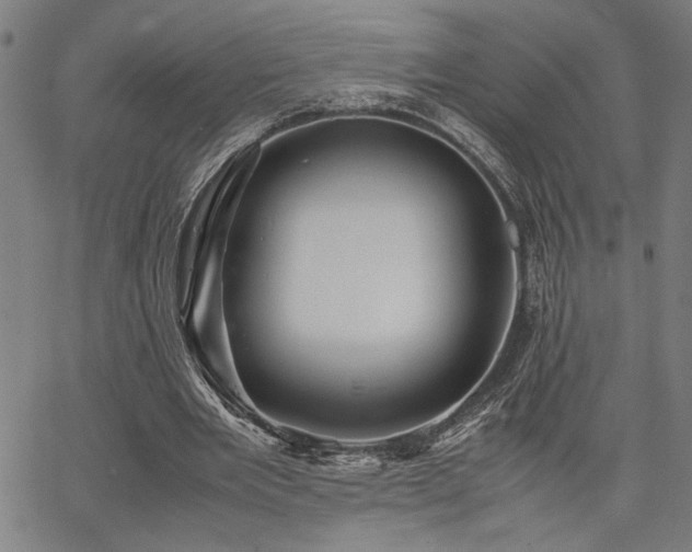 X0000067480485200604071142