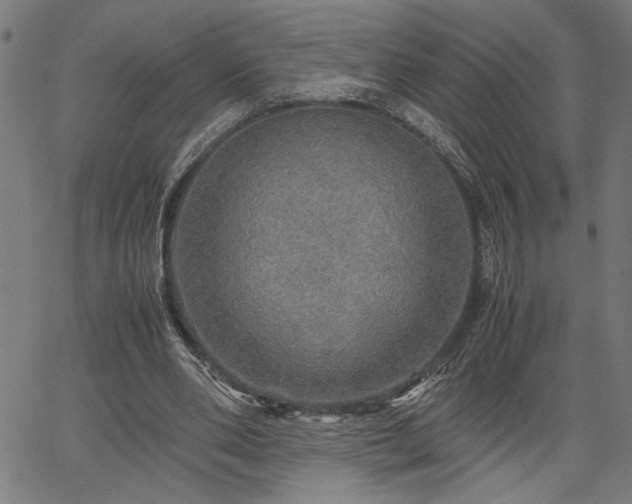 X0000067480486200604071142