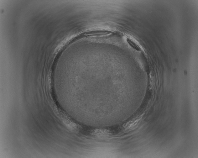 X0000067480487200604071142