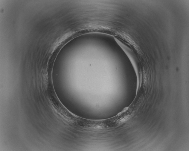 X0000067480488200604071142