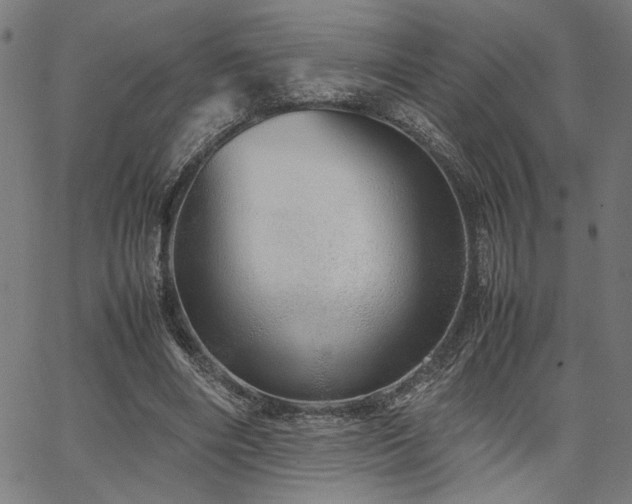 X0000067480490200604071142