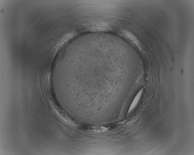 X0000067480491200604071142