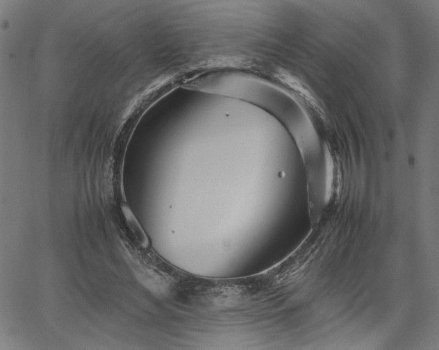 X0000067480492200604071142