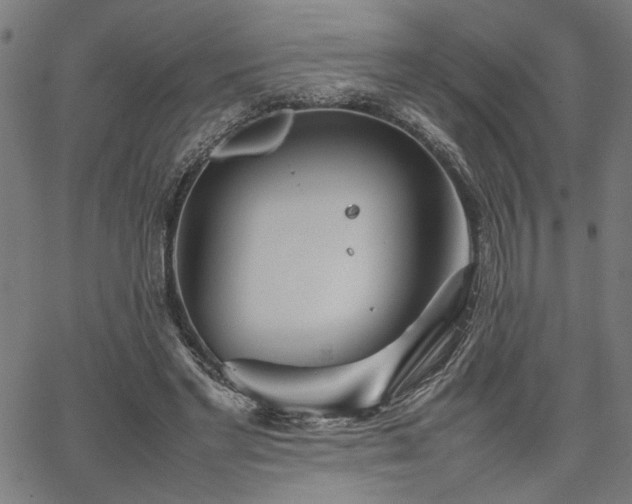 X0000067480493200604071142