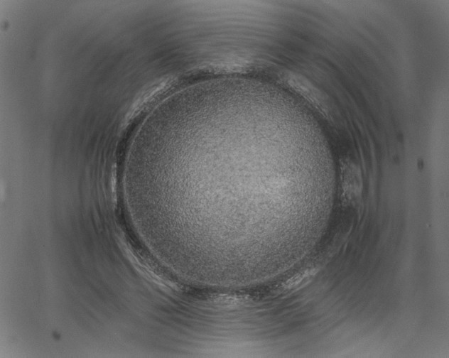 X0000067480494200604071142