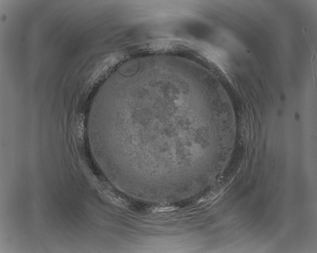 X0000067480495200604071142