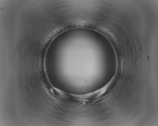 X0000067480496200604071142