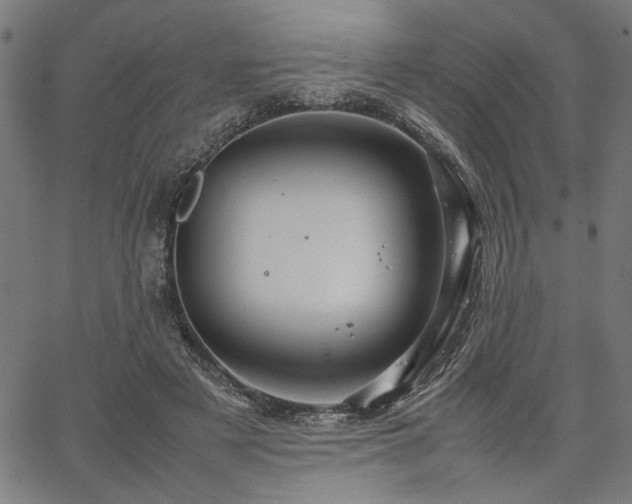 X0000067480497200604071142