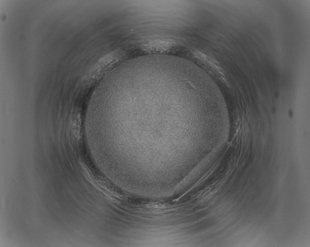 X0000067480498200604071142