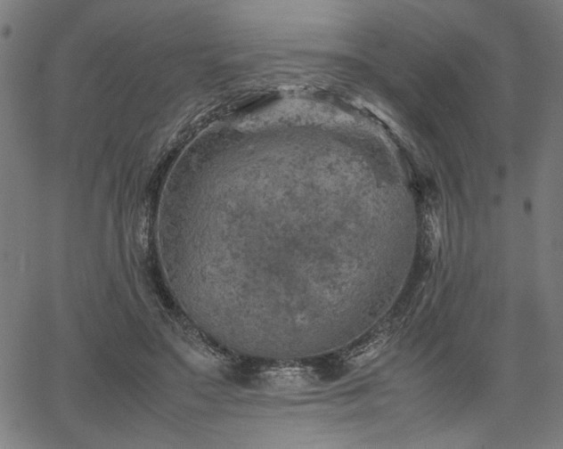 X0000067480499200604071142