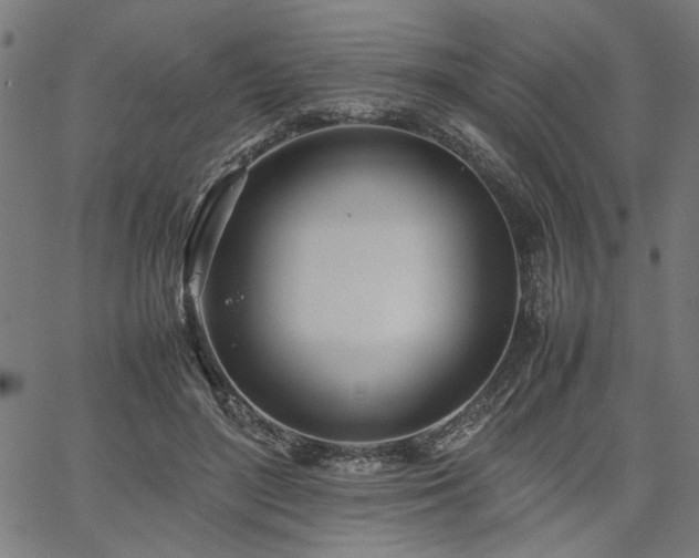 X0000067480500200604071142