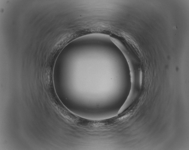 X0000067480501200604071142