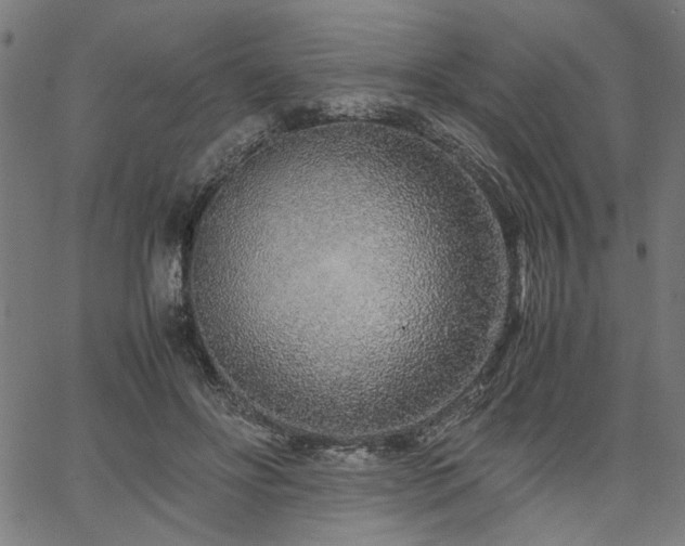 X0000067480502200604071142