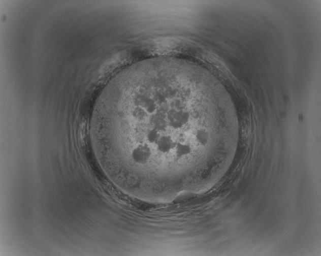 X0000067480503200604071142