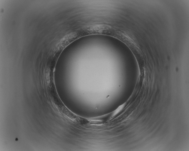 X0000067480504200604071142