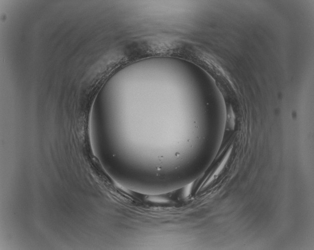 X0000067480505200604071142