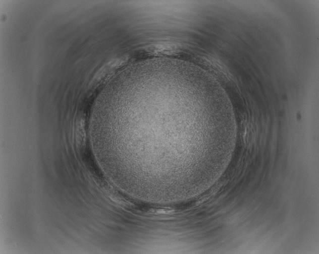 X0000067480506200604071142