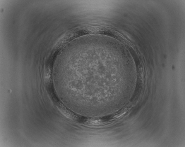 X0000067480507200604071142