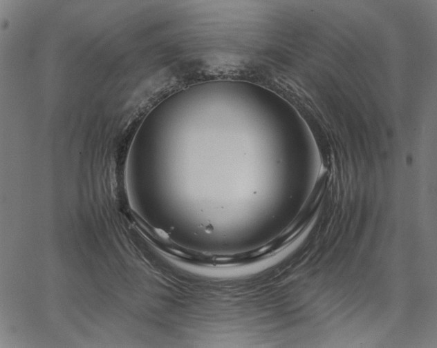 X0000067480508200604071142