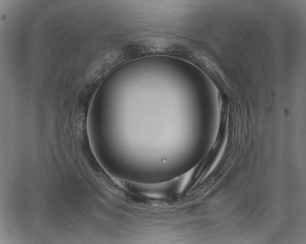 X0000067480509200604071142