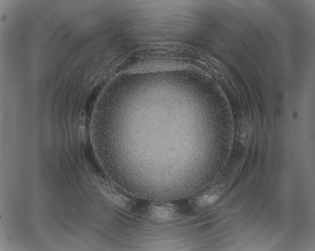 X0000067480510200604071142