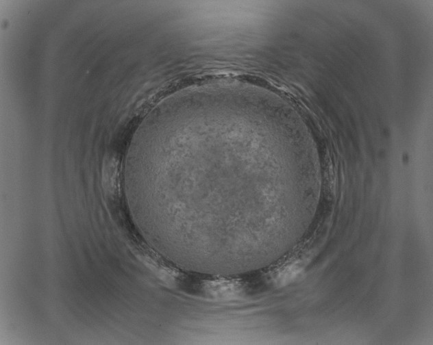 X0000067480511200604071142