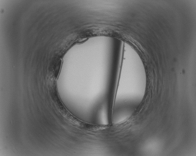 X0000067480513200604071142