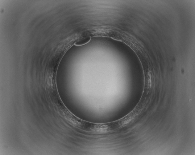 X0000067480514200604071142