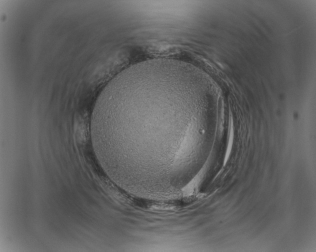 X0000067480515200604071142