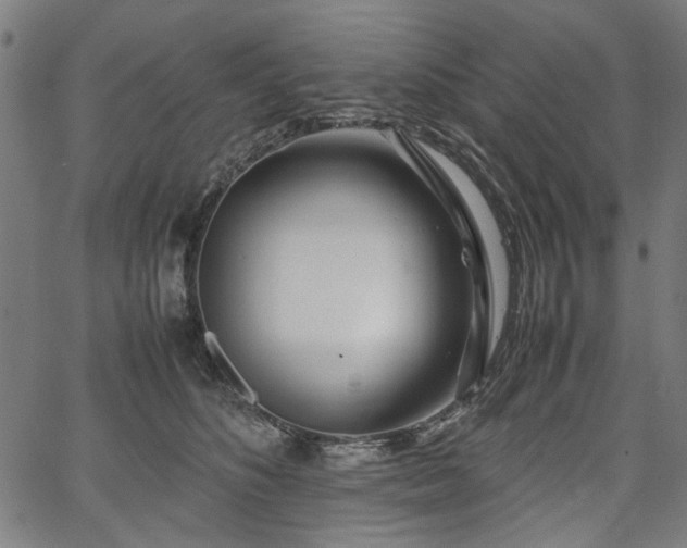 X0000067480516200604071142