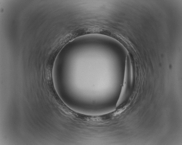 X0000067480517200604071142